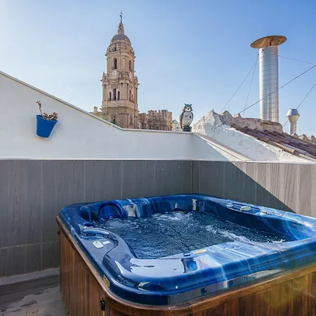 Апартаменты Gibralfaro Centro